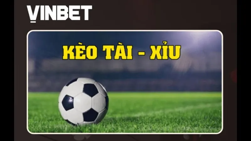 tai-xiu-bong-da-vinbet
